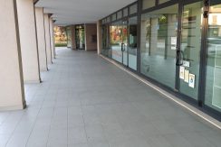 1614443039846_cop